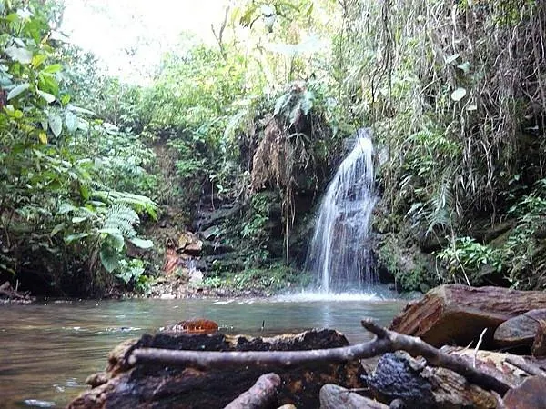 Parque Estadual do Juquery