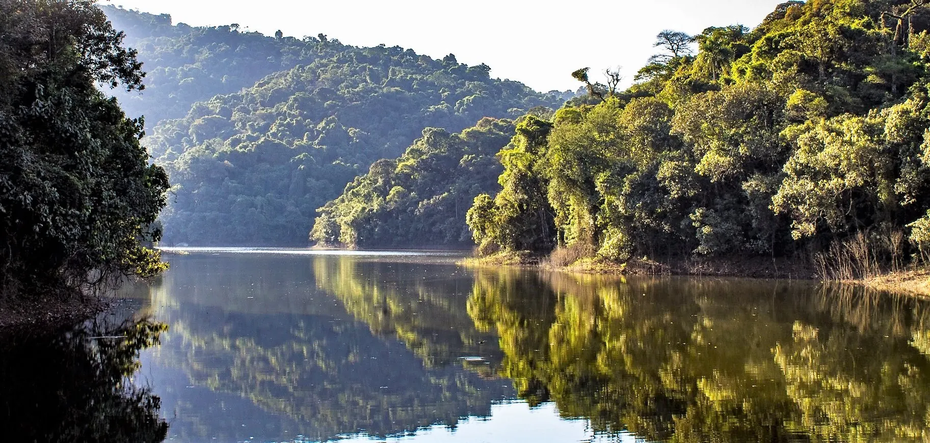 Parque Estadual da Cantareira