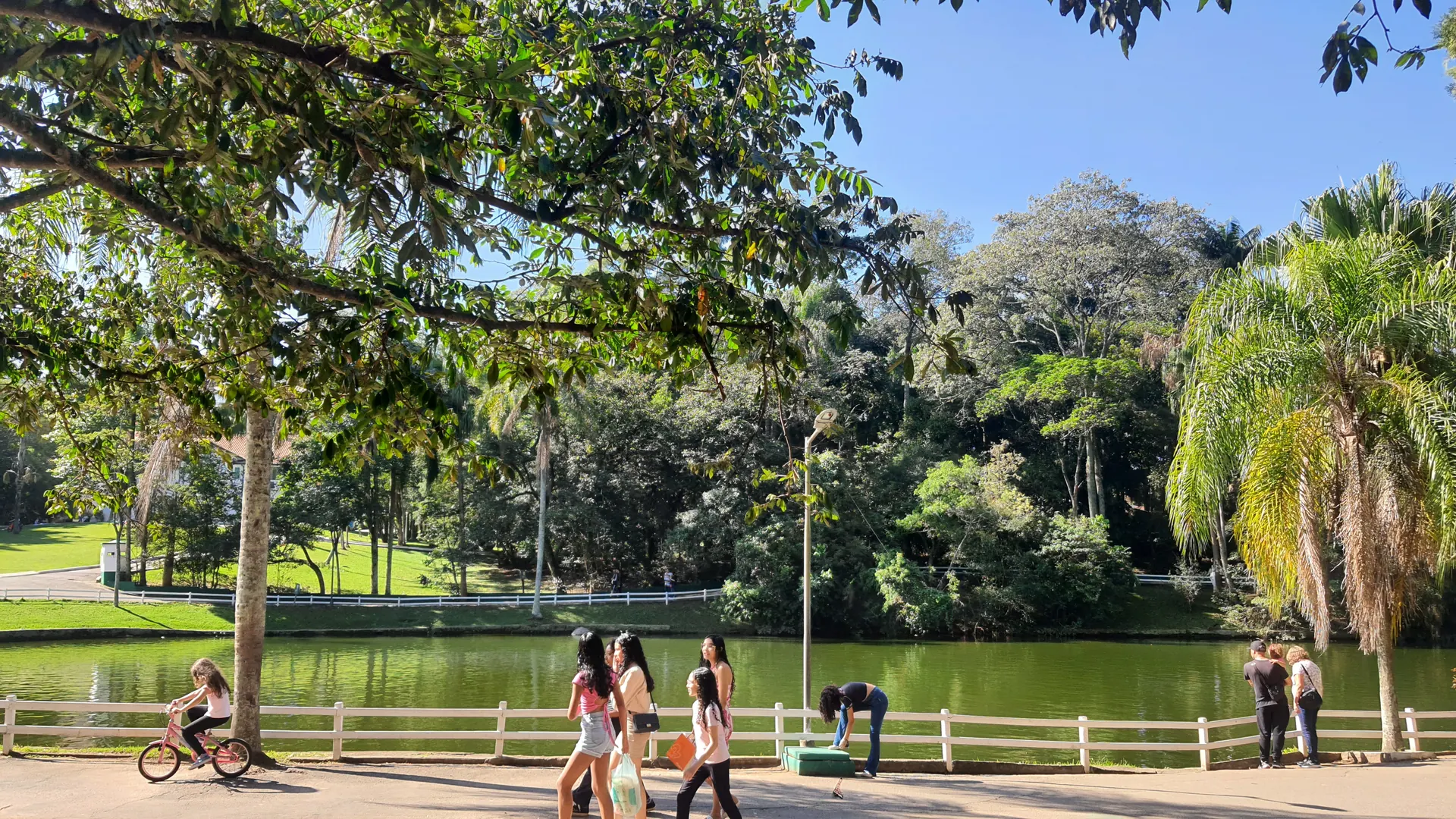 Lago e arboreto do Horto Florestal
